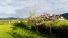 Dom na sprzedaż Limanowa (gw) Rupniów 