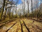 Działka na sprzedaż Wieliczka (gw) Lednica Górna 