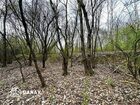 Działka na sprzedaż Kraków Zwierzyniec Aleja Jerzego Waszyngtona