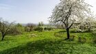 Działka na sprzedaż Biskupice (gw) Łazany 