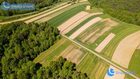 Działka na sprzedaż LIPNICA DOLNA  