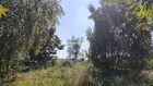 Działka na sprzedaż Iwanowice Poskwitów 