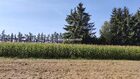 Działka na sprzedaż Iwanowice Poskwitów 