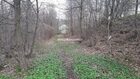 Działka na sprzedaż Myślenice (gw) Borzęta 