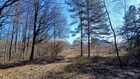 Działka na sprzedaż Chrzanów (gw) Płaza 