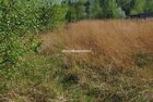 Działka na sprzedaż Biskupice (gw) Przebieczany 