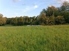 Działka na sprzedaż Biskupice (gw) Łazany 