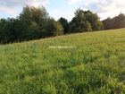 Działka na sprzedaż Biskupice (gw) Łazany 