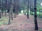 Działka na sprzedaż Kocmyrzów-Luborzyca Maciejowice 