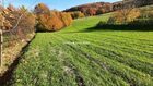 Działka na sprzedaż Raciechowice Komorniki 