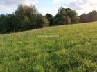 Działka na sprzedaż Biskupice (gw) Łazany 
