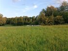 Działka na sprzedaż Biskupice (gw) Łazany 