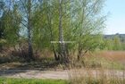 Działka na sprzedaż Biskupice (gw) Przebieczany 