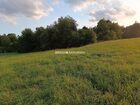 Działka na sprzedaż Biskupice (gw) Łazany 