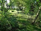 Działka na sprzedaż Kraków KROWODRZA Zwierzyniec, Chełm Pylna