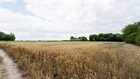 Działka na sprzedaż Kraków Nowa Huta Rusiecka