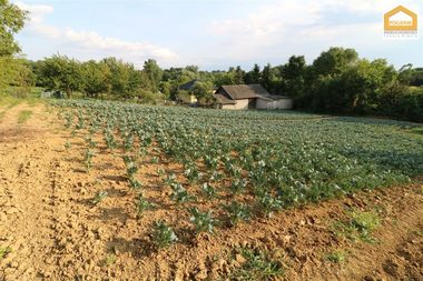 Działka na sprzedaż Kocmyrzów-Luborzyca Karniów