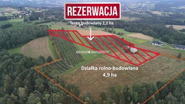 Działka na sprzedaż Łapanów Wolica Wolica