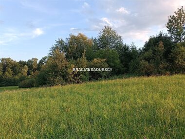 Działka na sprzedaż Biskupice (gw) Łazany
