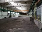 Lokal na wynajem Niepołomice  
