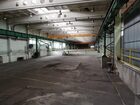 Lokal na wynajem Niepołomice  
