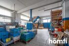 Lokal na wynajem KRAKÓW  Centralna