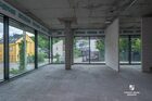 Lokal na wynajem KRAKÓW KRAKÓW-PODGÓRZE Jana Zamoyskiego