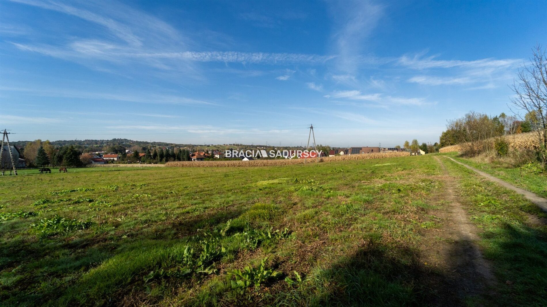 Działka na sprzedaż Skawina (gw) Radziszów Szkolna