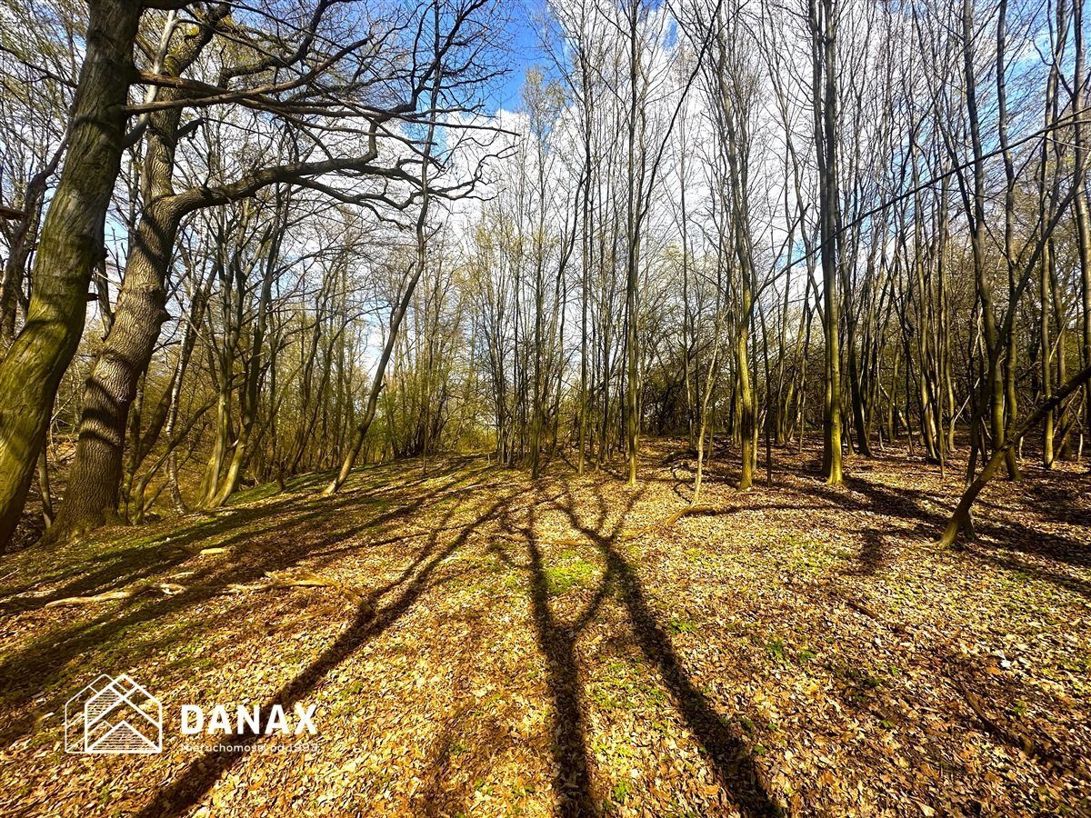 Działka na sprzedaż Wieliczka (gw) Lednica Górna 