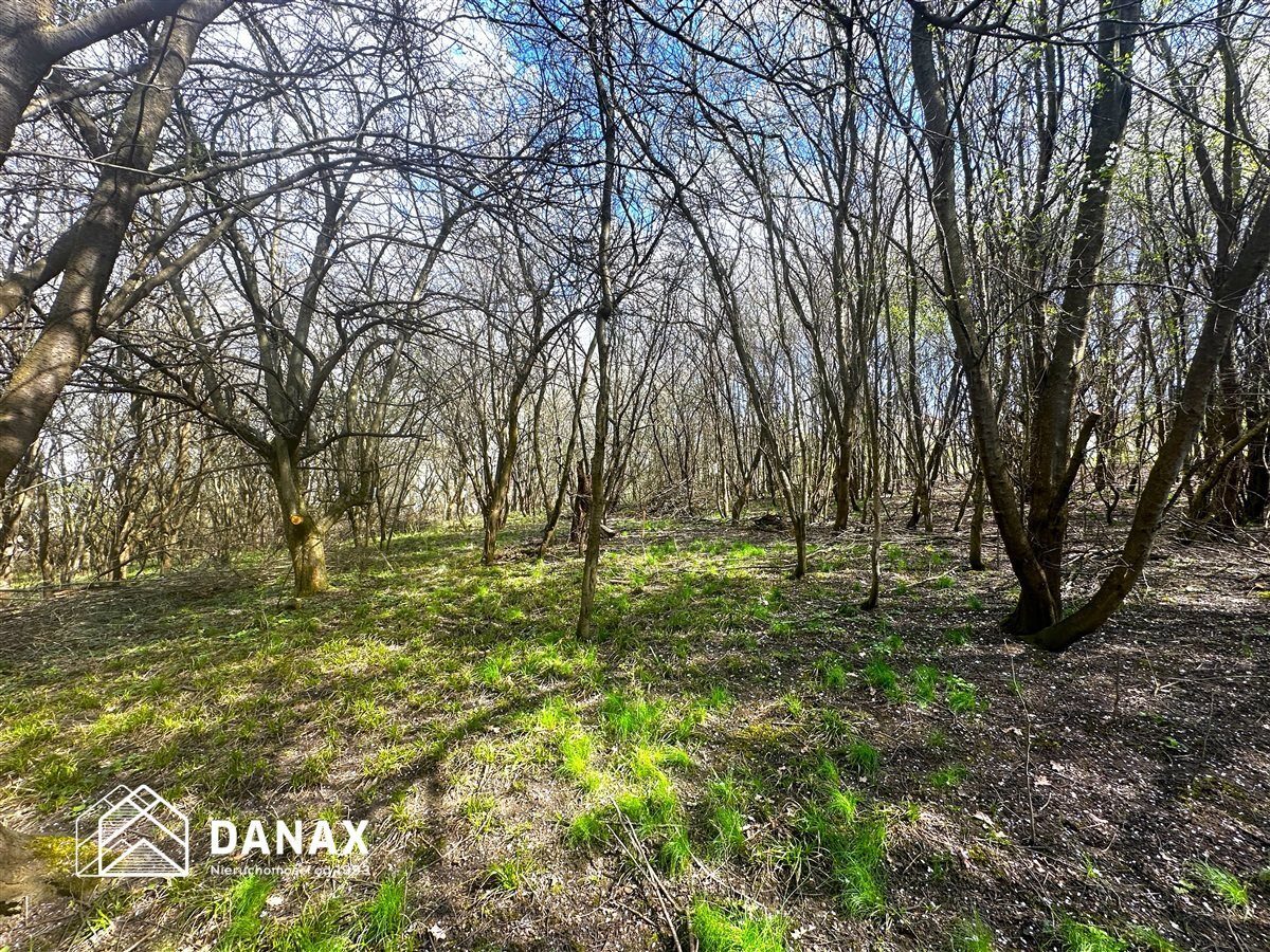 Działka na sprzedaż Wieliczka (gw) Lednica Górna 