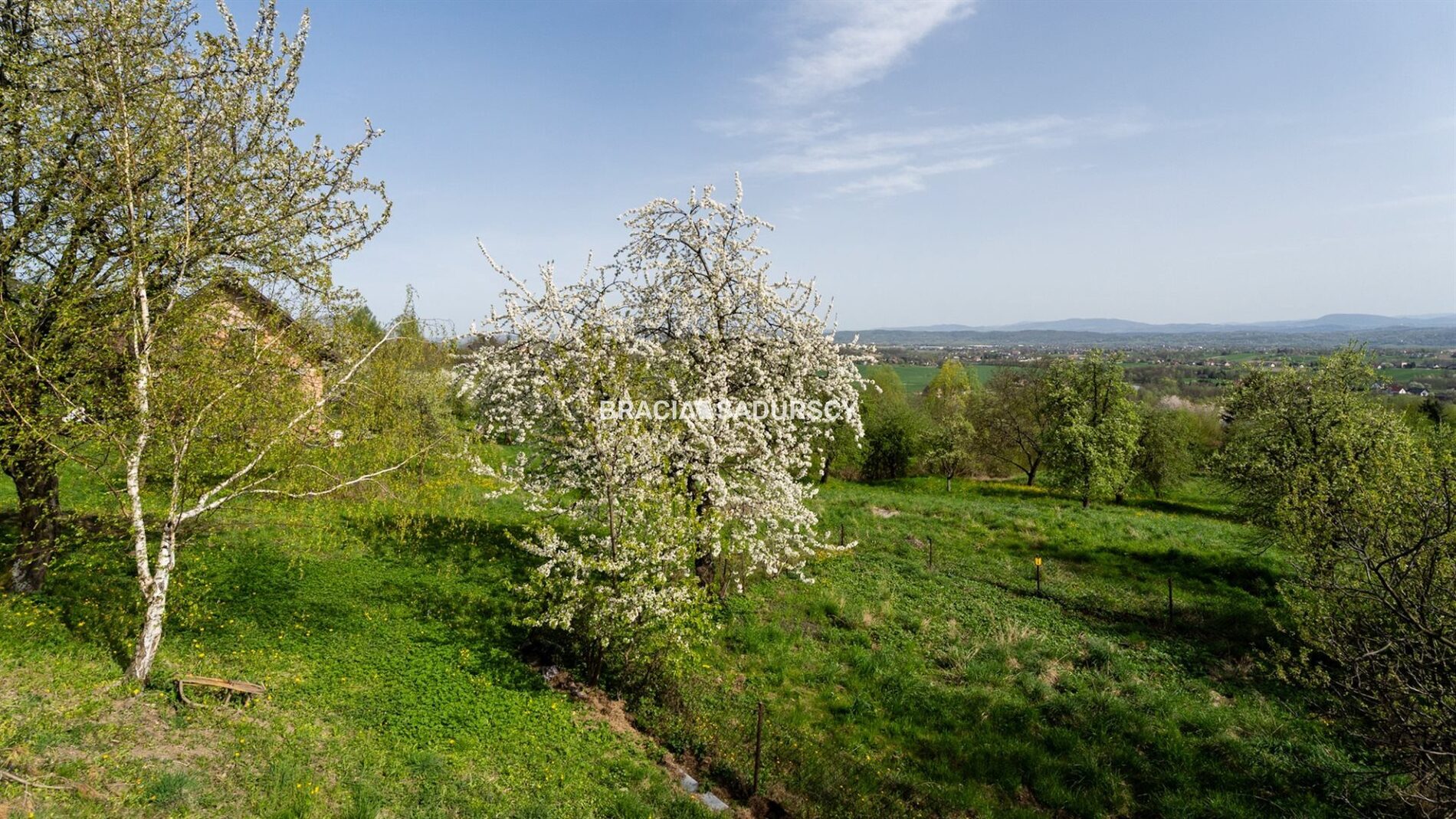 Działka na sprzedaż Biskupice (gw) Łazany 