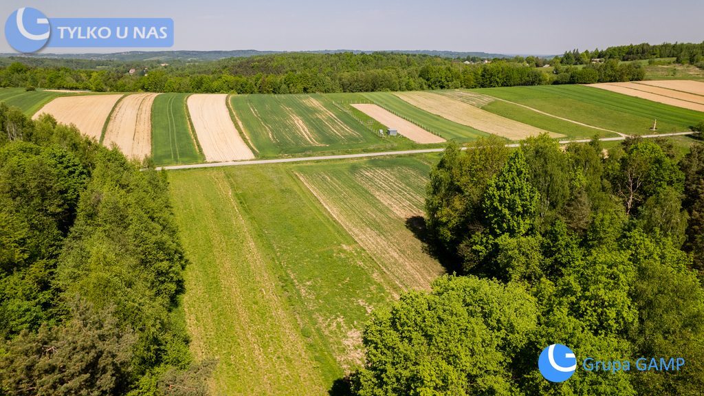 Działka na sprzedaż LIPNICA DOLNA  