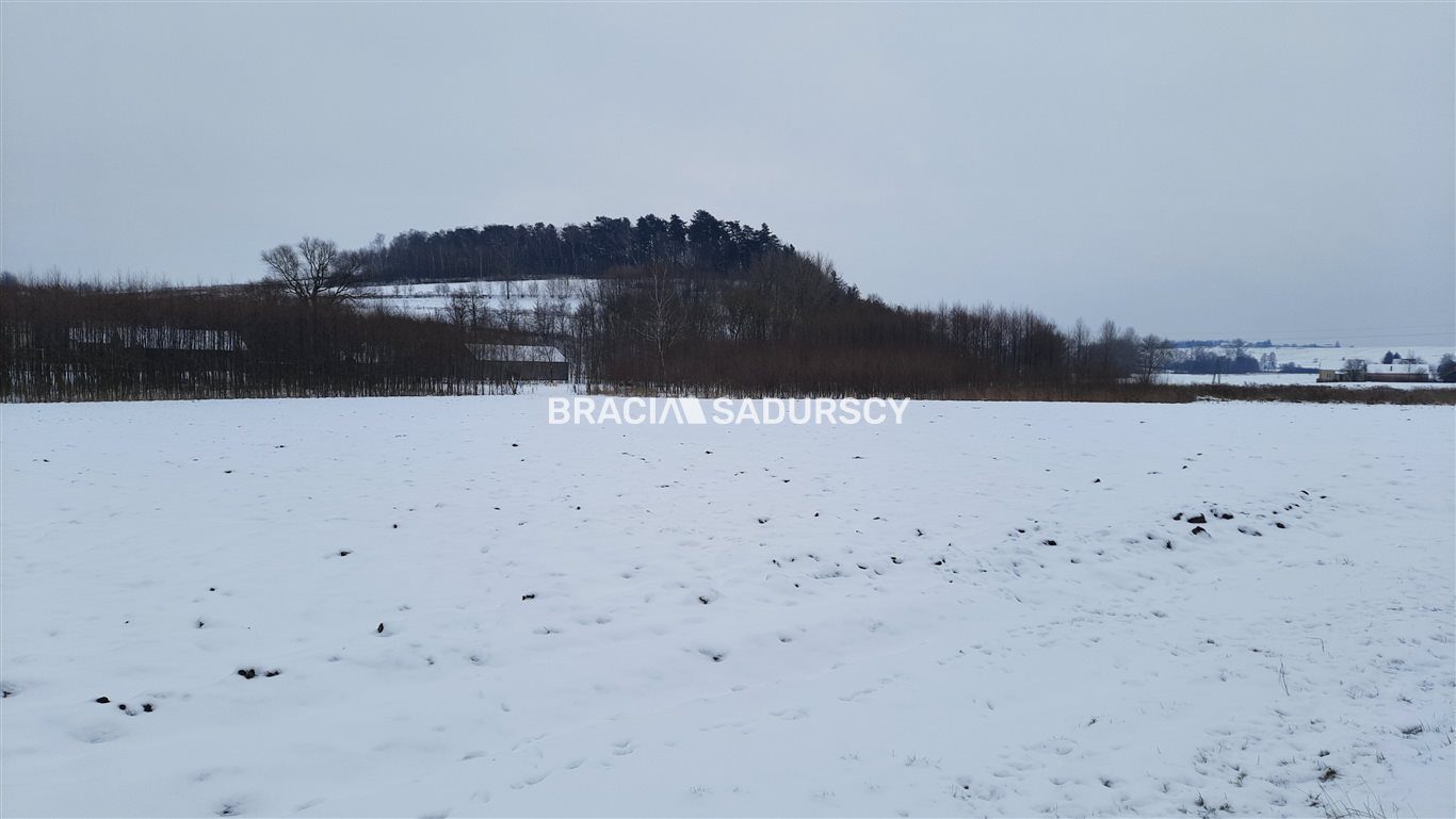 Działka na sprzedaż Koniusza Polekarcice 