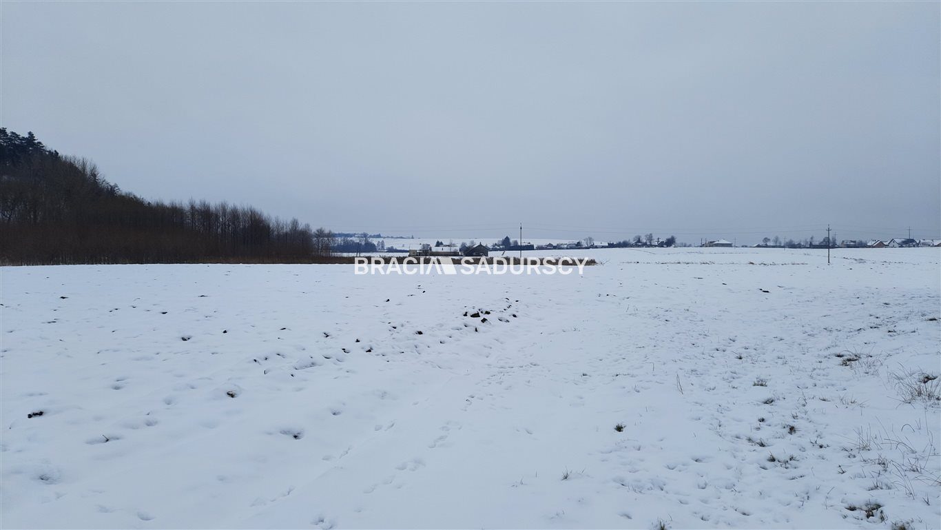 Działka na sprzedaż Koniusza Polekarcice 