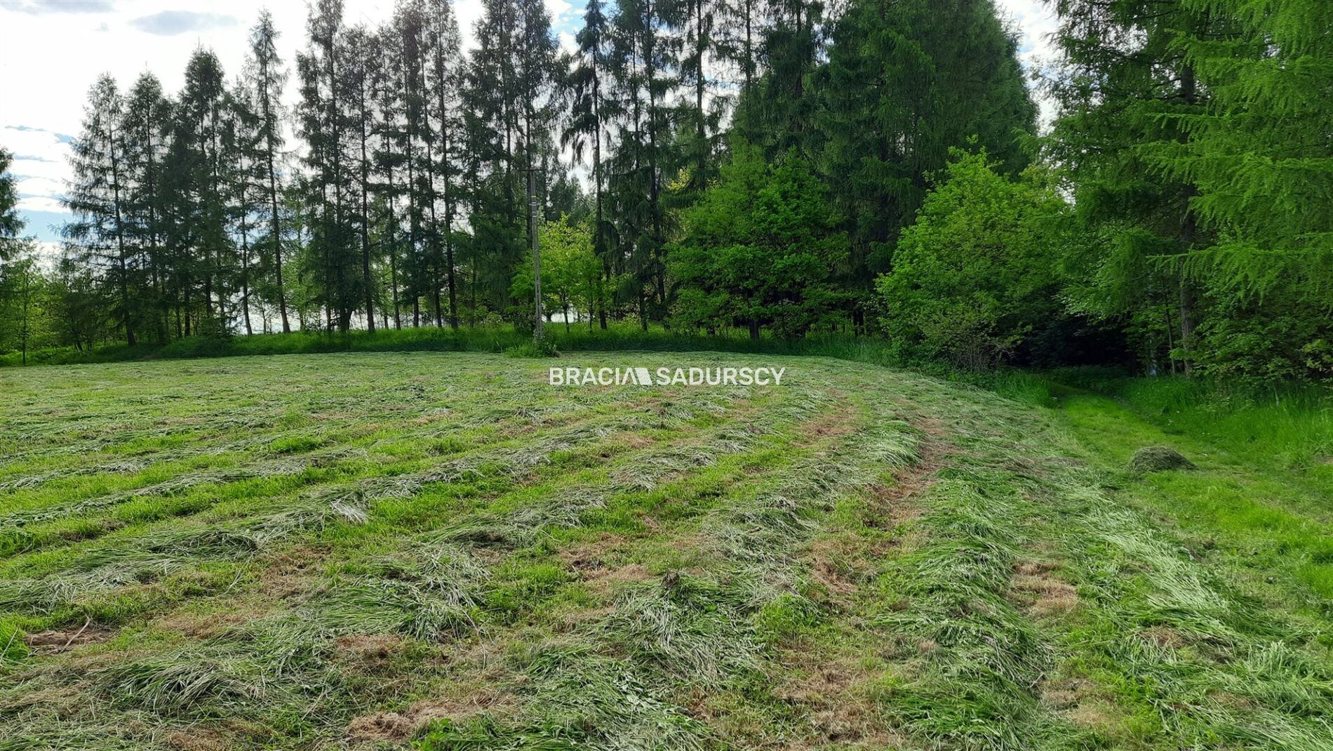 Działka na sprzedaż Alwernia (gw) Poręba Żegoty 