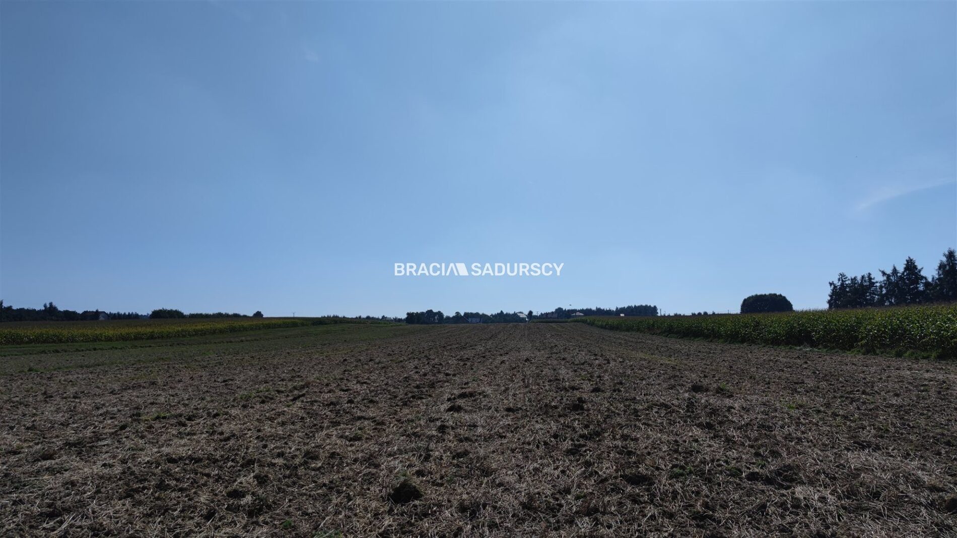 Działka na sprzedaż Iwanowice Poskwitów 