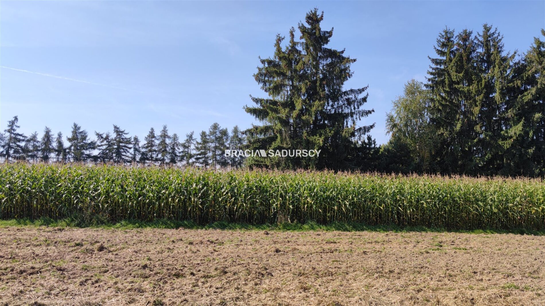 Działka na sprzedaż Iwanowice Poskwitów 