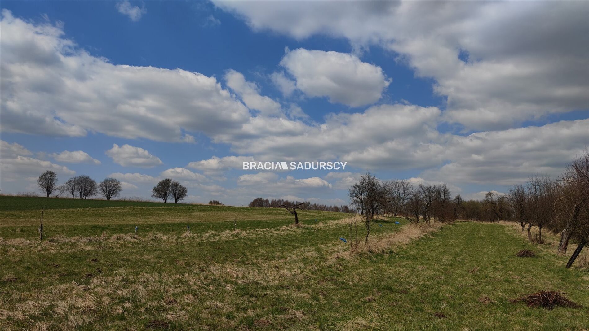 Działka na sprzedaż Liszki Czułów 