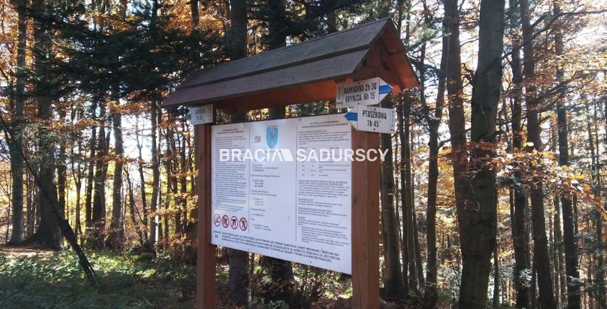 Działka na sprzedaż Kamionka Wielka Bogusza 