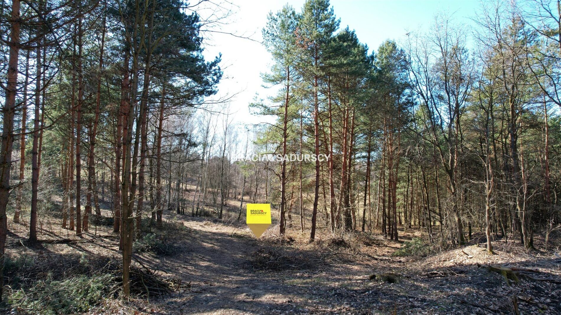 Działka na sprzedaż Chrzanów (gw) Płaza 
