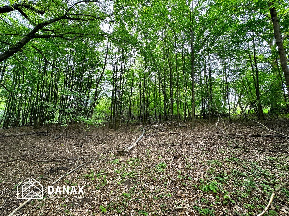Działka na sprzedaż Wieliczka (gw) Lednica Górna 