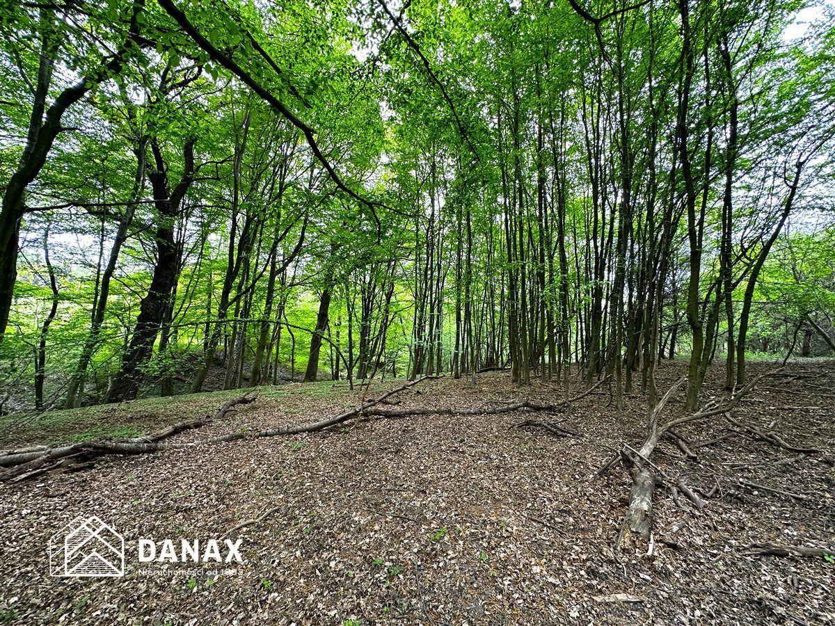 Działka na sprzedaż Wieliczka (gw) Lednica Górna 
