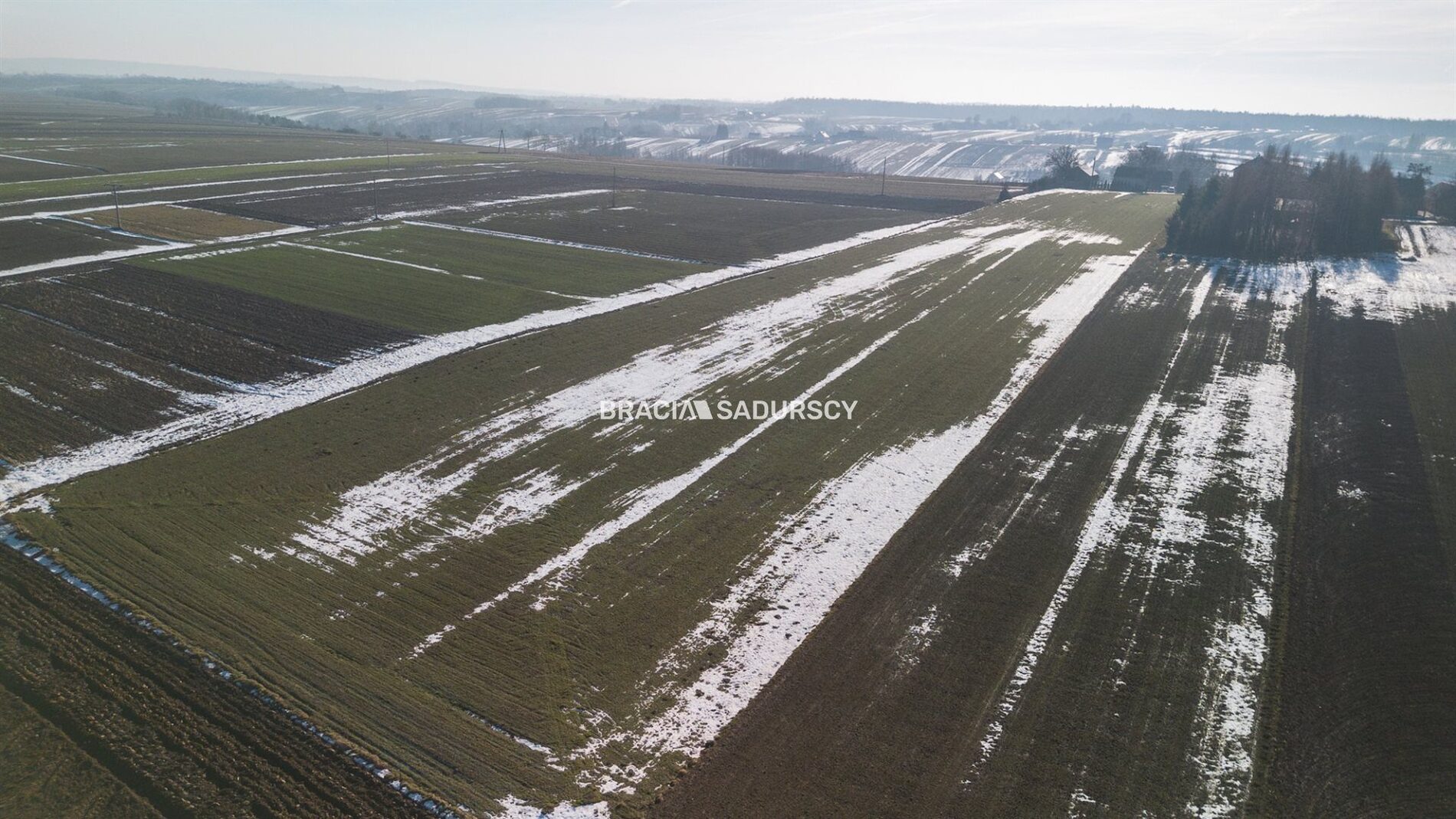 Działka na sprzedaż Skała (gw) Gołyszyn 