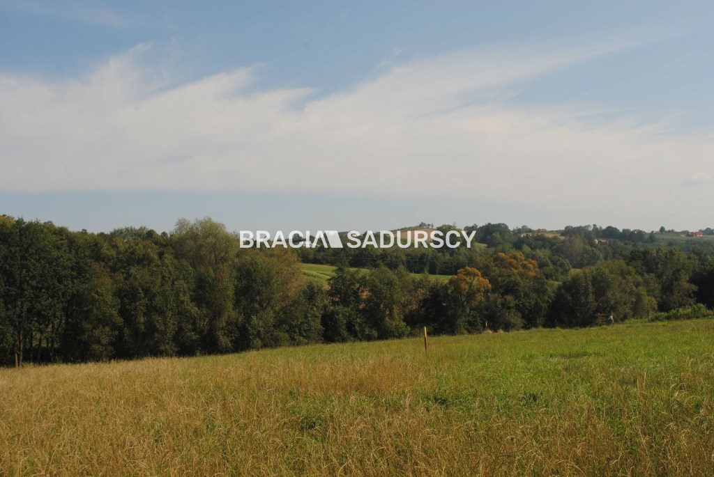 Działka na sprzedaż Raciechowice Gruszów 