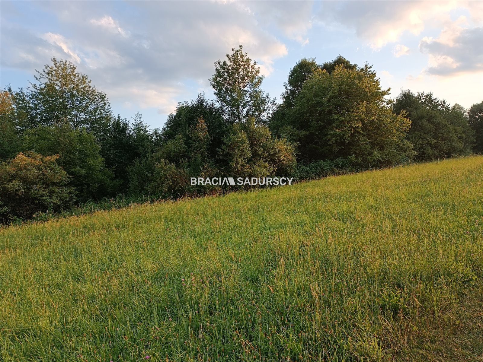 Działka na sprzedaż Biskupice (gw) Łazany 