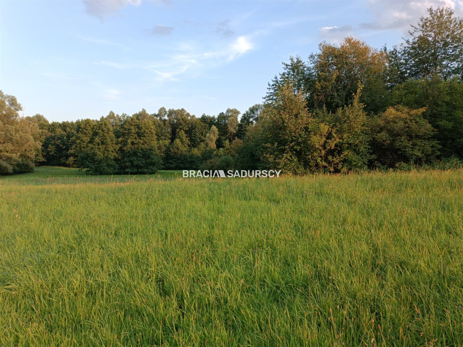 Działka na sprzedaż Biskupice (gw) Łazany 