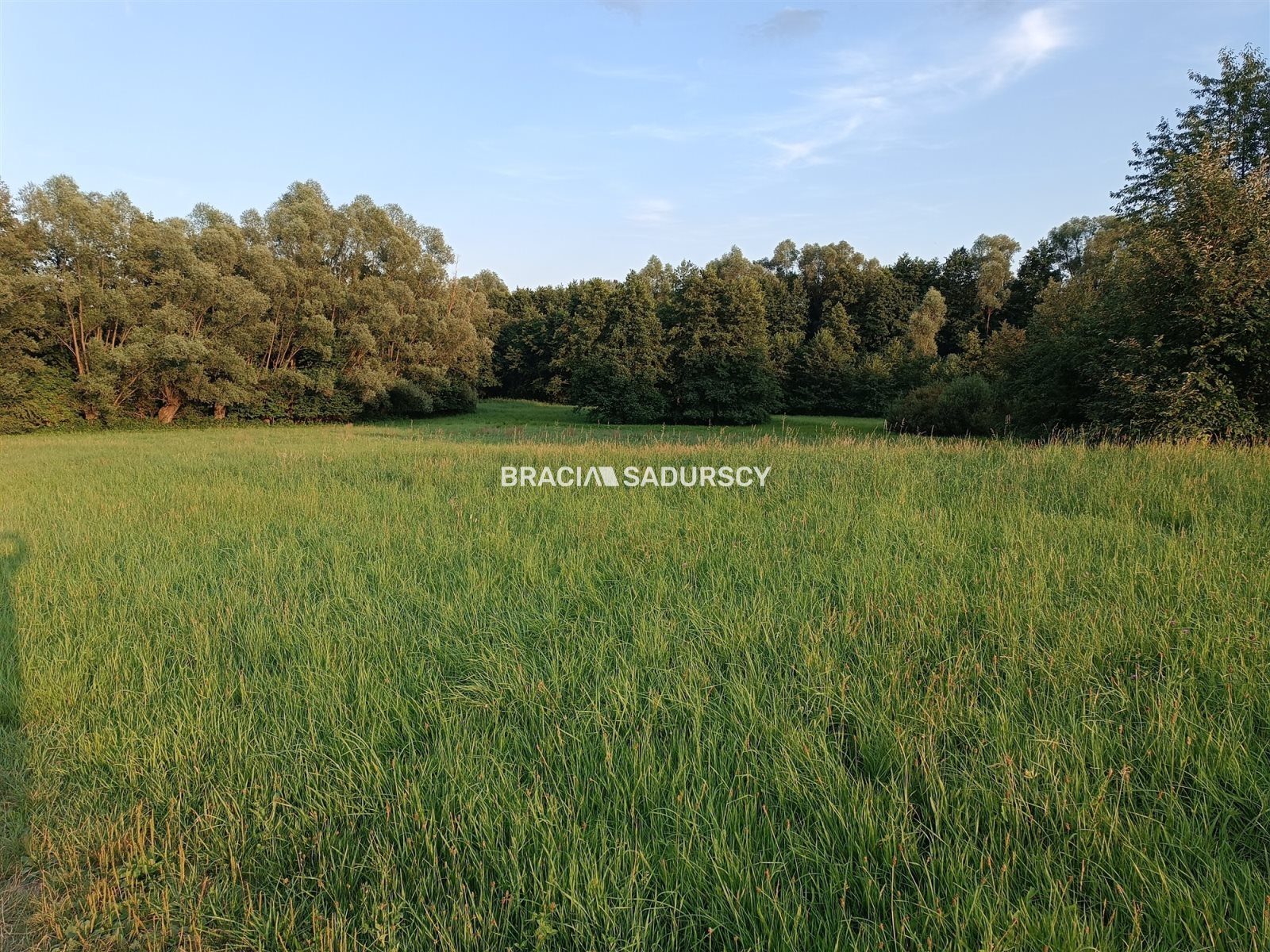 Działka na sprzedaż Biskupice (gw) Łazany 