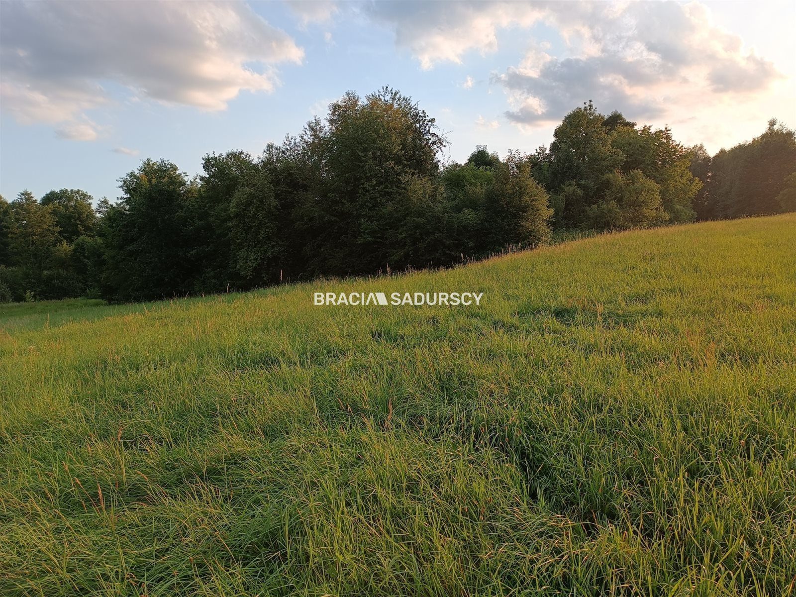 Działka na sprzedaż Biskupice (gw) Łazany 