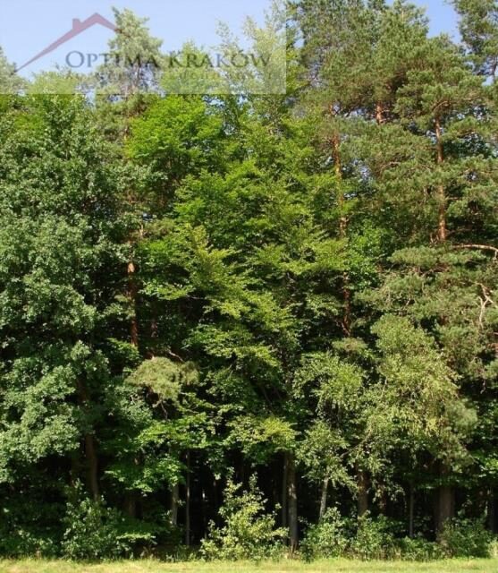 Działka na sprzedaż Myślenice Łęki 