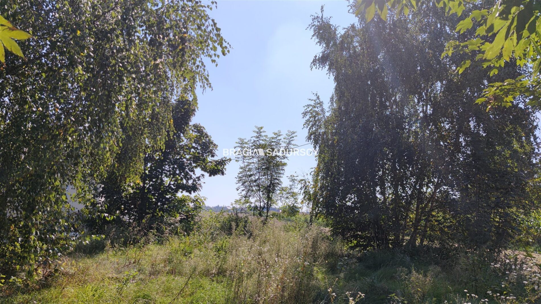 Działka na sprzedaż Iwanowice Poskwitów 